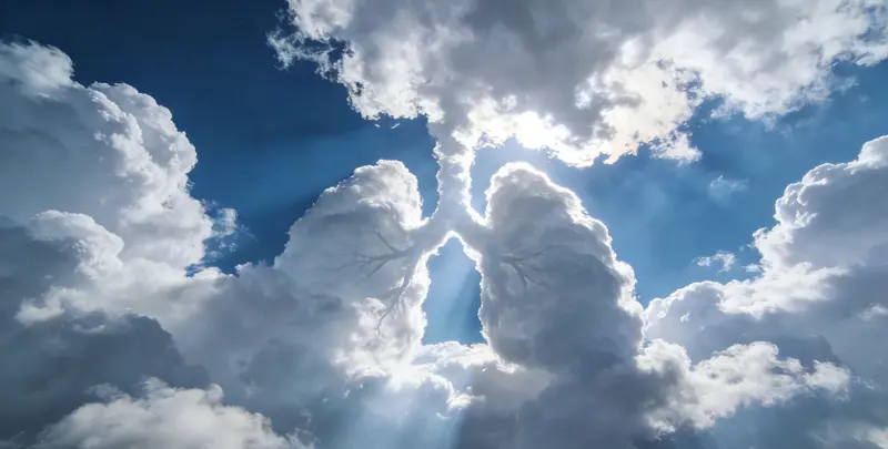 威海肺癌13基因突变检测（组织）图片1