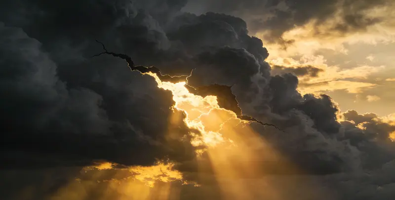 威海肺癌靶向120基因检测（组织）图片1