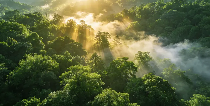 威海肺癌120基因ctDNA突变检测(血液）图片1