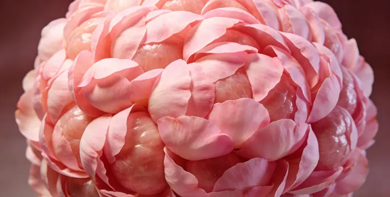 威海BRCA1/2乳腺癌卵巢癌基因检测图片1